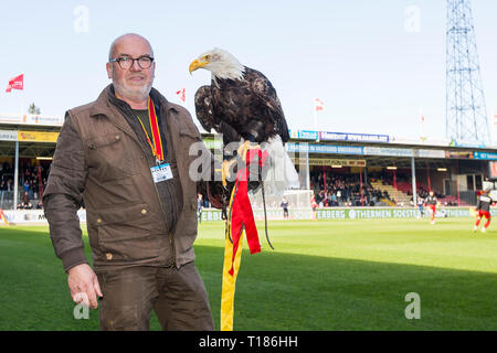 DEVENTER, Stadion De Adelaarshorst, 24-03-2019, Saison 2018 / 2019, Niederländische Keuken Kampioen Divisie. Ergebnis 1-2, Gerrit van Zandvoort und Eagle Harly während des Spiels Go Ahead Eagles - Twente Stockfoto