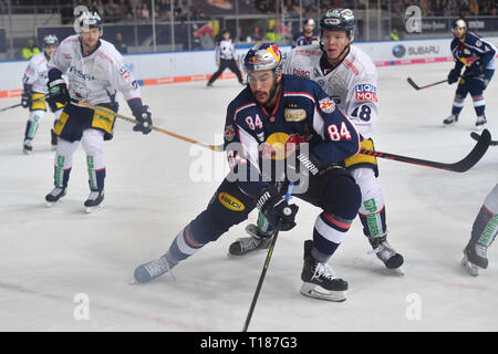 München, Deutschland. 24 Mär, 2019. Trevor PARKS (M), Aktion, Duelle gegen Jonas MUELLER (B), EHC Red Bull Muenchen-Eisbaeren Berlin. Eishockey DEL Play-off Viertelfinale Spiel 5, 24.03.2019, Olympia Eishalle Muenchen. | Verwendung der weltweiten Kredit: dpa/Alamy leben Nachrichten Stockfoto