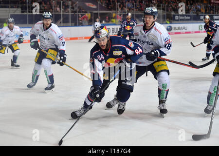 München, Deutschland. 24 Mär, 2019. Trevor PARKS (M), Aktion, Duelle gegen Jonas MUELLER (B), EHC Red Bull Muenchen-Eisbaeren Berlin. Eishockey DEL Play-off Viertelfinale Spiel 5, 24.03.2019, Olympia Eishalle Muenchen. | Verwendung der weltweiten Kredit: dpa/Alamy leben Nachrichten Stockfoto