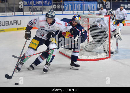 München, Deutschland. 24 Mär, 2019. Justin SHUGG (M), Aktion, Duelle gegen Jonas MUELLER (B), EHC Red Bull Muenchen-Eisbaeren Berlin. Eishockey DEL Play-off Viertelfinale Spiel 5, 24.03.2019, Olympia Eishalle Muenchen. | Verwendung der weltweiten Kredit: dpa/Alamy leben Nachrichten Stockfoto