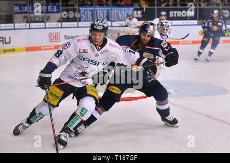 München, Deutschland. 24 Mär, 2019. Justin SHUGG (M), Aktion, Duelle gegen Jonas MUELLER (B), EHC Red Bull Muenchen-Eisbaeren Berlin. Eishockey DEL Play-off Viertelfinale Spiel 5, 24.03.2019, Olympia Eishalle Muenchen. | Verwendung der weltweiten Kredit: dpa/Alamy leben Nachrichten Stockfoto