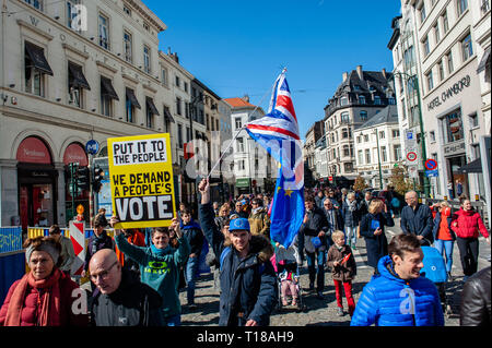 Brüssel, Brabant, Belgien. 24 Mär, 2019. Eine Demonstrantin gesehen Holding ein anti Brexit Plakat während des Protestes. Einen Tag vor dem Jahrestag der Gründung des Vertrags über die Europäische Union, der Bürger und der Organisationen der Zivilgesellschaft nahm die Straßen von Brüssel, zwei Monate vor den Europawahlen zu machen. Im März wurde von Plattform gemeinsam organisiert, eine Initiative, die von einer Allianz von progressiven politischen Gruppen aus ganz Europa ins Leben gerufen. Sie stehen für Solidarität, Demokratie, Frieden und gegen die eigentliche Gefahr für ihre zentralen europäischen Werte. (Bild: © Ana Fernandez/SOPA I Stockfoto