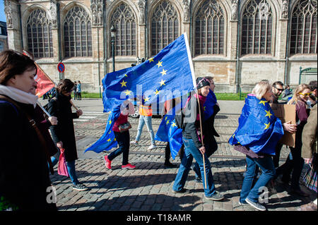 Brüssel, Brabant, Belgien. 24 Mär, 2019. Eine Frau gesehen, die eine Flagge der EU während des Protestes. Einen Tag vor dem Jahrestag der Gründung des Vertrags über die Europäische Union, der Bürger und der Organisationen der Zivilgesellschaft in den Straßen von Brüssel hat, zwei Monate vor den Europawahlen zu machen. Im März wurde von Plattform gemeinsam organisiert, eine Initiative, die von einer Allianz von progressiven politischen Gruppen aus ganz Europa ins Leben gerufen. Sie stehen für Solidarität, Demokratie, Frieden und gegen die eigentliche Gefahr für ihre zentralen europäischen Werte. (Bild: © Ana Fernandez/SOPA Bilder Stockfoto