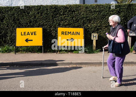 Lustige Witze über Brexit: Zwei satirische comic Schilder mit den Worten verlassen und bleiben in Bezug auf Brexit auf einer Straße bei thriplow Narzisse Wochenende 2019, Thriplow, Cambridge, England, UK. Credit: Nicola Ferrari/Alamy Leben Nachrichten. Stockfoto