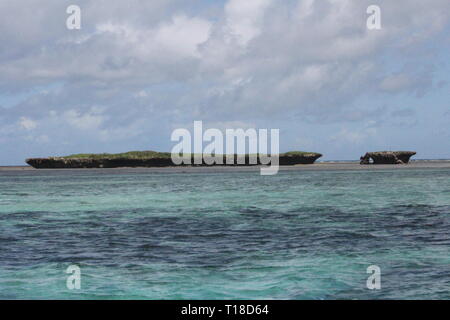 Kisite-Mpunguti Marine Nationalpark an der Küste des Indischen Ozeans, Kenia Stockfoto