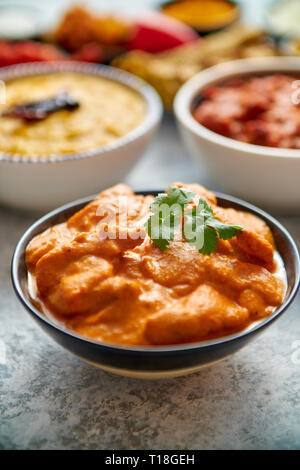 Verschiedene indische Gerichte auf dem Tisch. Leichte Butter Chicken in caramic Schüssel. Mit Reis, Naan und Gewürzen serviert. Satz der anderen Art indisches Essen. Flach. Stockfoto