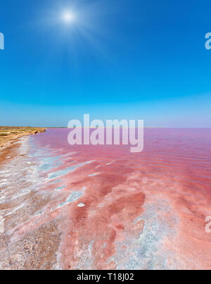 Sonnigen pink extrem salzig Syvash See, gefärbt durch Mikroalgen mit kristallinen Salz depositionen. Auch als die fauligen Meer oder faulen Meer bekannt. Ukrain Stockfoto