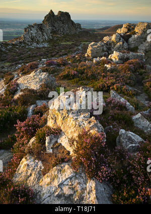 Schöne Landschaft in Shropshire im September vom Quartzit-Kamm der Stiperstones, Shropshire-zweithöchster Hügel, England, Großbritannien, aus gesehen. Stockfoto