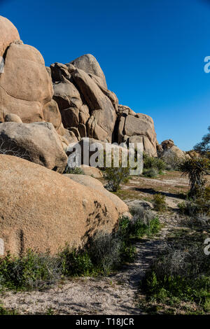 Die Granitfelsen kommen in vielen unglaublichen Formen - Joshua Tree National Park, Kalifornien Stockfoto