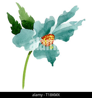 Türkis Mohn Blumen botanischen Blume. Aquarell Hintergrund Abbildung. Isolierte poppy Abbildung Element. Stockfoto
