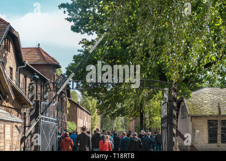 Oswiencim, Polen - 21. September 2019: Touristen, die über das Tor der nationalsozialistischen Konzentrationslager Auschwitz Stockfoto