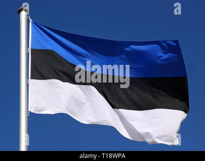 Flagge von Estland Stockfoto