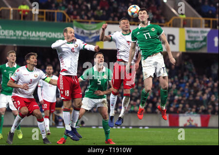 Nordirlands Paddy McNair (rechts) und Belarus' Igor Shitov Kampf um den Ball während der UEFA EURO 2020 Qualifikation, Gruppe C Match im Windsor Park, Belfast. Stockfoto