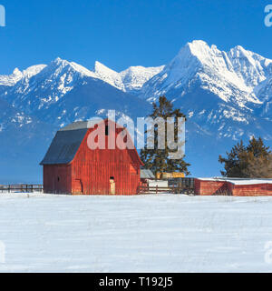 Red Barn unterhalb der Mission Berge im Winter in der Nähe von Ronan, Montana Stockfoto