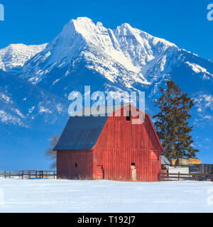 Red Barn unterhalb der Mission Berge im Winter in der Nähe von Ronan, Montana Stockfoto