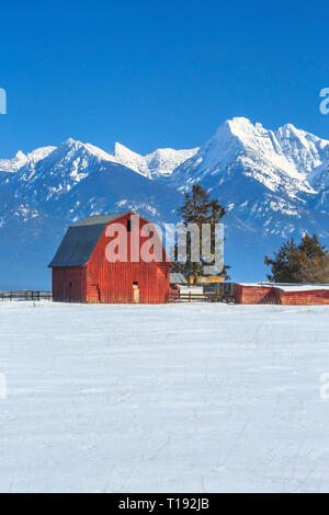 Red Barn unterhalb der Mission Berge im Winter in der Nähe von Ronan, Montana Stockfoto