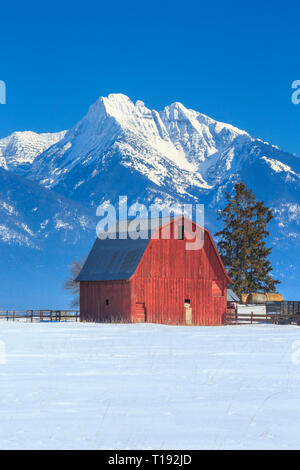 Red Barn unterhalb der Mission Berge im Winter in der Nähe von Ronan, Montana Stockfoto