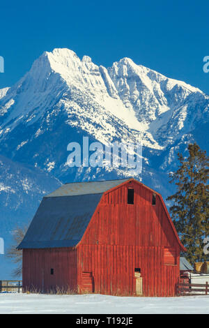 Red Barn unterhalb der Mission Berge im Winter in der Nähe von Ronan, Montana Stockfoto