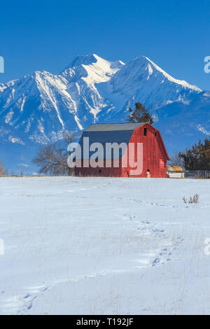 Red Barn unterhalb der Mission Berge im Winter in der Nähe von Ronan, Montana Stockfoto