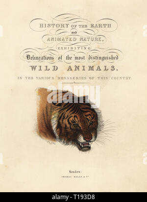 Kalligraphischen Titelblatt mit Vignette der Tiger von J. Webb. Papierkörbe Kupferstich von William Smellie ist die Übersetzung der Geschichte zählen Georges Buffon der Erde und der belebten Natur, Thomas Kelly, London, 1829. Stockfoto