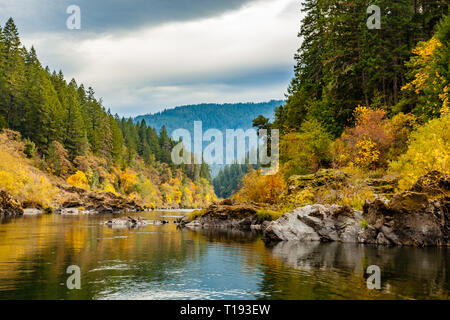 Herbst Farben von orange und gelbe Blätter in einem ruhigen Abschnitt der Rogue River mit Pinien auf der linken und dem Fluss sanft gewundenen rechts Stockfoto