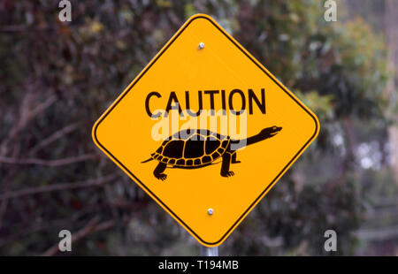 NEW SOUTH WALES SCHILD WARNUNG TREIBER SCHILDKRÖTEN ÜBERQUEREN SIE DIESEN ABSCHNITT DER STRASSE, Hunter Valley, New South Wales, Australien. Stockfoto