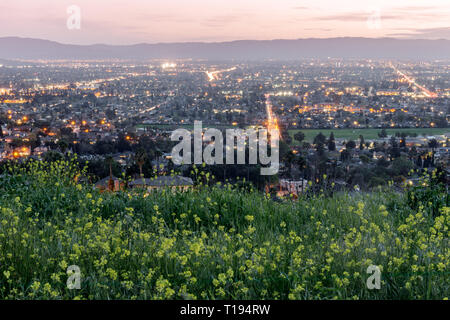 Hoch über Silicon Valley mit Senf im Frühjahr gefärbt. Stockfoto