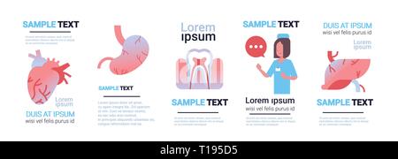 Verschiedene menschliche Organe Infografik Sammlung Ärztin Beratung im Gesundheitswesen Konzept weißen Hintergrund waagrechten Banner kopieren eingestellt Stock Vektor