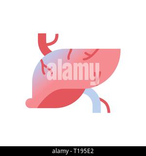 Leber Symbol menschlichen Körper organ Anatomie Gesundheit medizinisches Konzept weißer Hintergrund Stock Vektor
