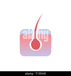 Haarfollikel Organ des Menschen Anatomie Gesundheit medizinisches Konzept weißer Hintergrund Stock Vektor