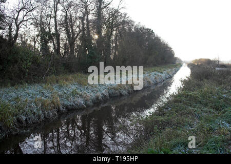 Frost auf die Vegetation neben Entwässerungsgraben auf der Ham Wand RSPB Nature Reserve Somerset Levels Somerset England Stockfoto