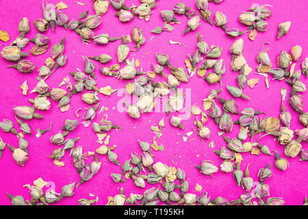 Getrocknete rosenblütenblätter Tee. Trocken rote Rosen gegen helles Rosa Hintergrund, Ansicht von oben. Stockfoto