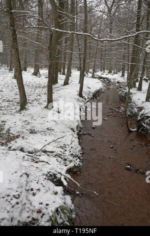 Blackensford Bach im Schnee North Oakley Inclosure New Forest National Park Hampshire England Stockfoto