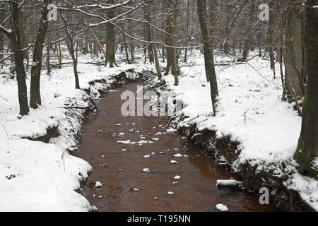 Blackensford Bach im Schnee North Oakley Inclosure New Forest National Park Hampshire England Stockfoto