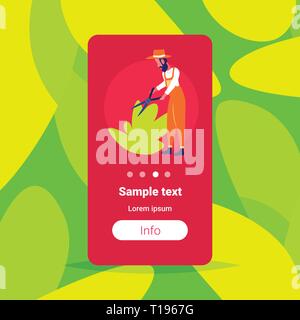 Bärtige Gärtner Beschneidung bush Mann professionelle Arbeiter schneiden Pflanze schneiden verblasst ergibt sich Zweige mit gartenwerkzeuge Baumscheren schere Platz kopieren Stock Vektor