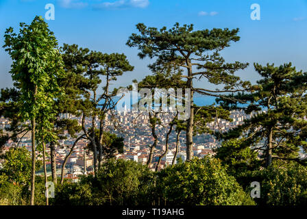 Istanbul, Türkei, 23. Juli 2006: Bäume Stockfoto