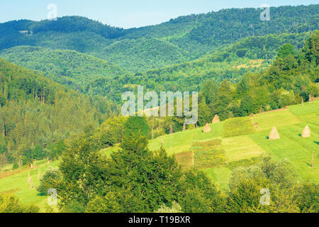 Heuballen auf den ländlichen Bereich in den Bergen. schöne Landschaft Landschaft im Sommer Stockfoto