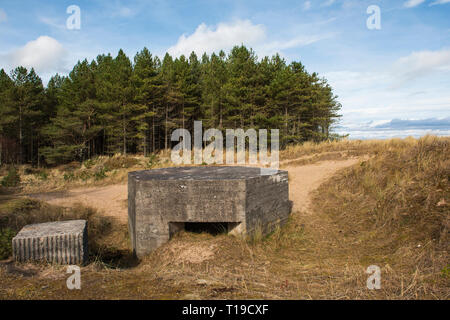 Weltkrieg 2 Bunker bei Tentsmuir National Nature Reserve, Fife, Schottland. Stockfoto