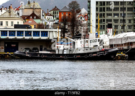 Veteran Tug Boat Vulcanus (erbaut 1959) im Hafen von Bergen, Norwegen Anker. Dahinter, Veteran Dampf schiff Stord 1, bedeckt, durch Planen für den Winter Stockfoto