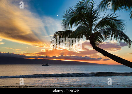 Schönen Sonnenuntergang Ozean und Palm Tree View am Kaanapali Strand auf Maui. Stockfoto