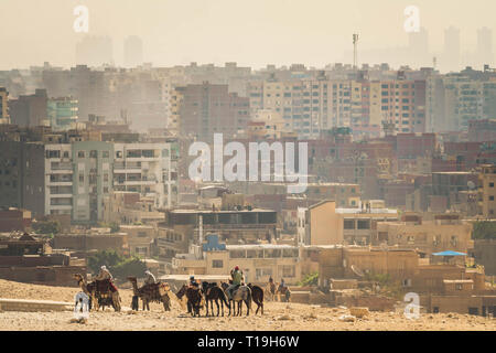 Kamele vor der modernen Kairo wie die Pyramiden von Gizeh, Ägypten gesehen Stockfoto