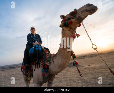 Reiten Kamele in der Nähe der Pyramiden von Gizeh, Kairo, Ägypten Stockfoto