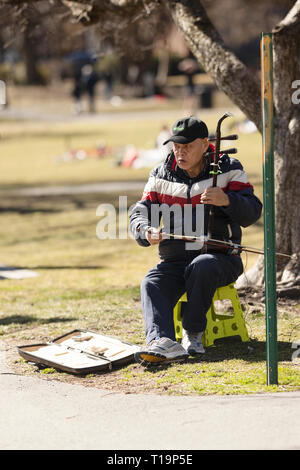 Ein Mann spielt die Erhu (Traditionelle Chinesische spike Geige) in der Boston Public Garden, Boston, Massachusetts. Stockfoto