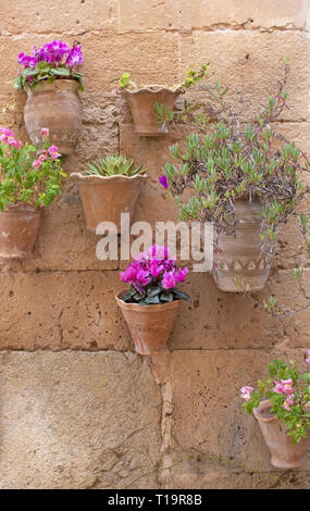 Schönen terrakotta Blumentöpfe mit Rosa cyclamen Blumen auf Steinmauer in Valldemossa Mallorca. Stockfoto