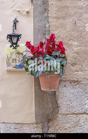 Schönen terrakotta Blumentopf mit roter cyclamen Blumen und Santa Catalina Thomas Keramikplatte und Eisen Lampe auf Steinmauer in Valldemossa Mall Stockfoto