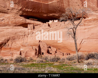 White House Ruin. Canyon de Chelly National Monument, Arizona. Stockfoto