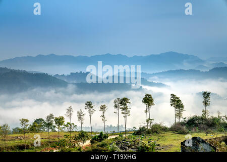 Berühmte und malerische Berglandschaft bei Sapa, Vietnam Asien Stockfoto