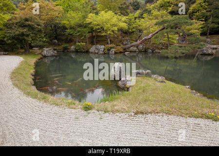 14. jahrhundert Zen Garten und Teich mit Koi, Tenryu-ji, Arashiyama, Kyoto, Japan Stockfoto