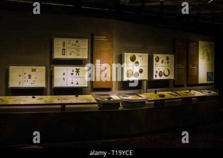 Gold Objekte Ausstellung in Costa Rica Gold Museum in San Jose Stockfoto