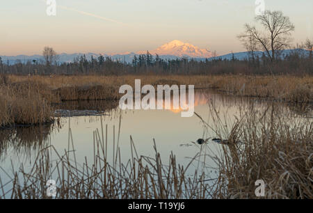 Mount Baker spiegelt glühende im Wasser über Tennant See in Ferndale Washington Stockfoto